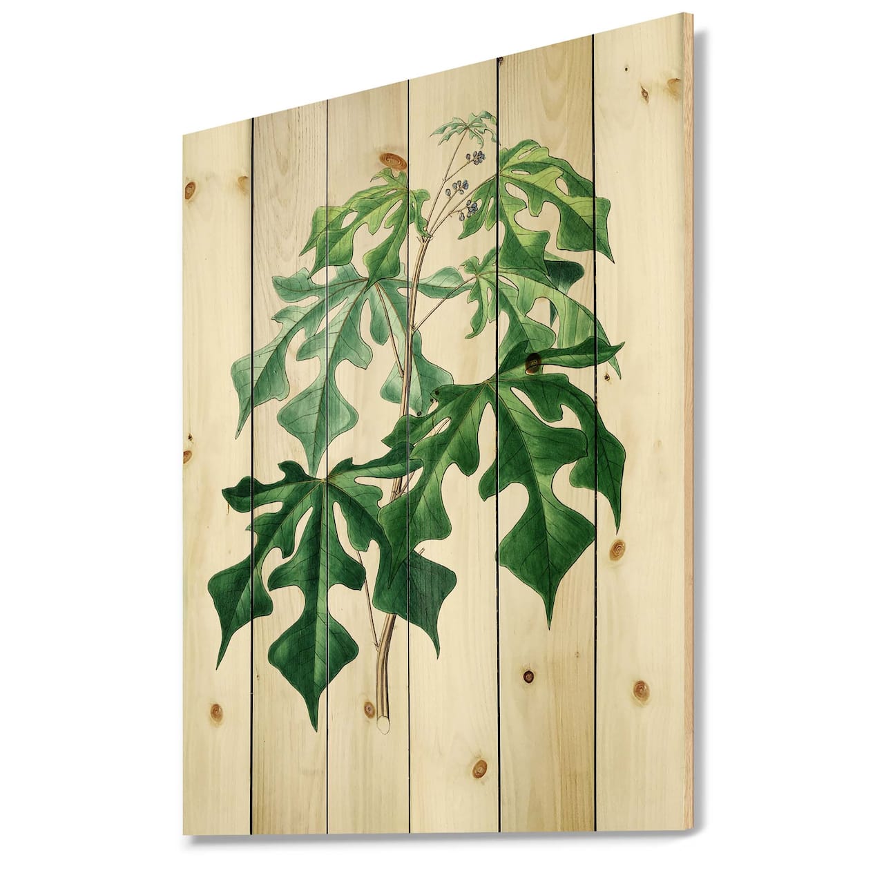 Designart - Vintage Green Leaves Plants II - Traditional Print on Natural Pine Wood